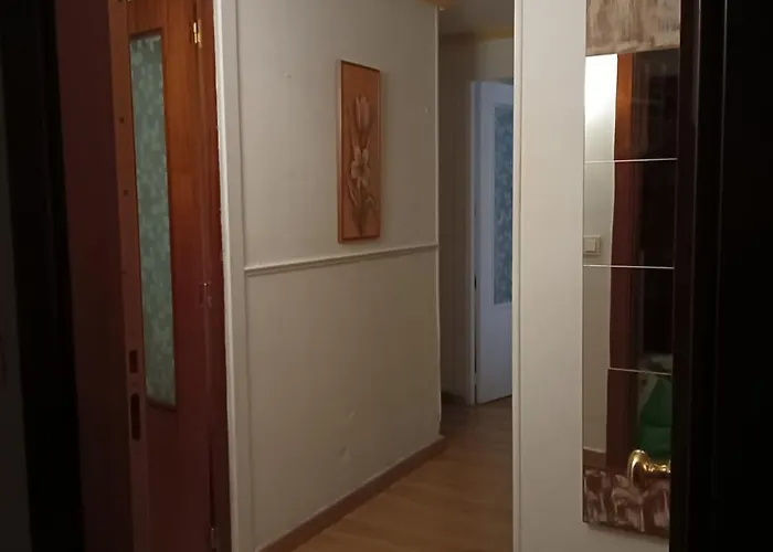 Lejlighed En El Centro Encima De Piscina Palafox *